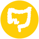 Colorectal Icon