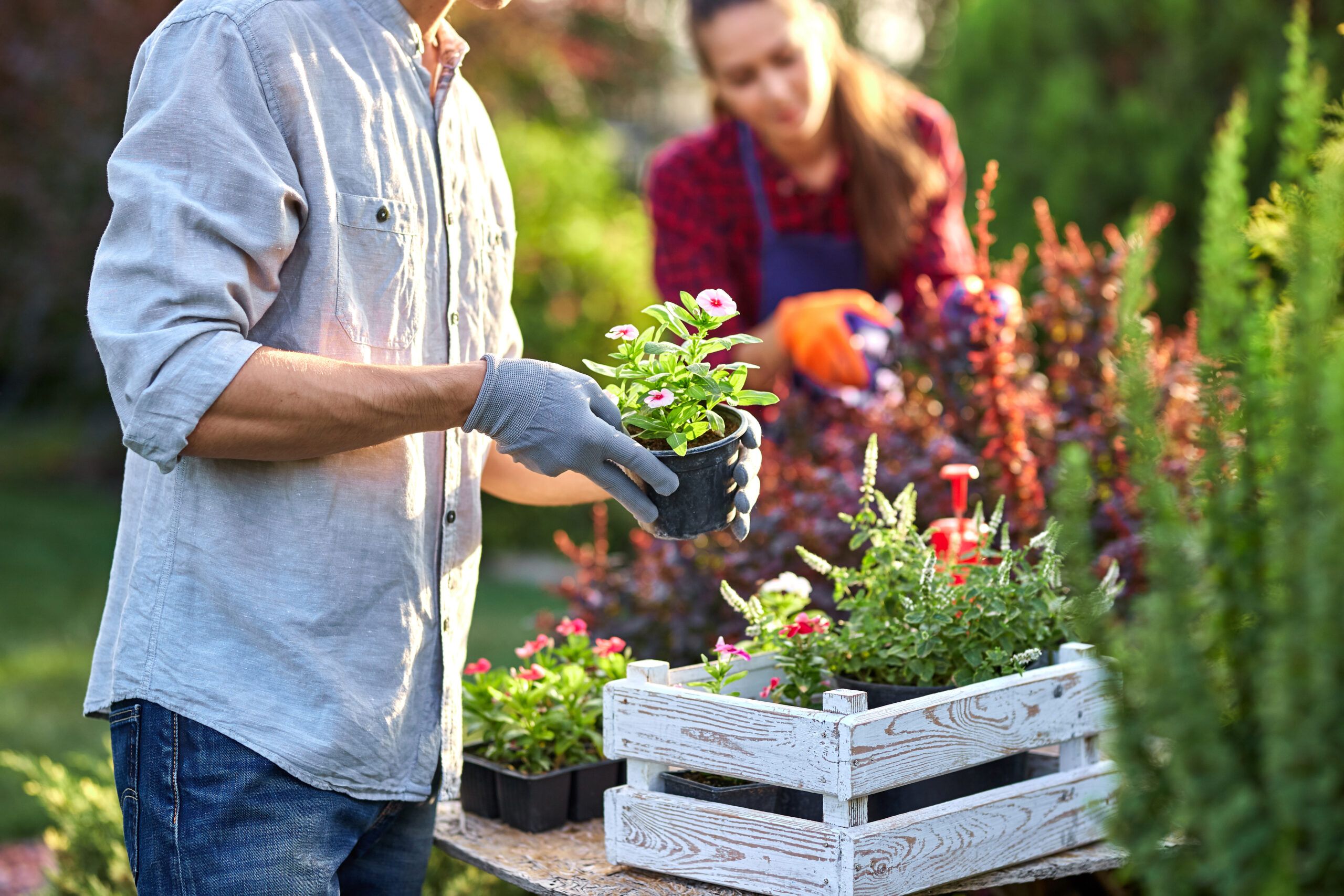 Gardening